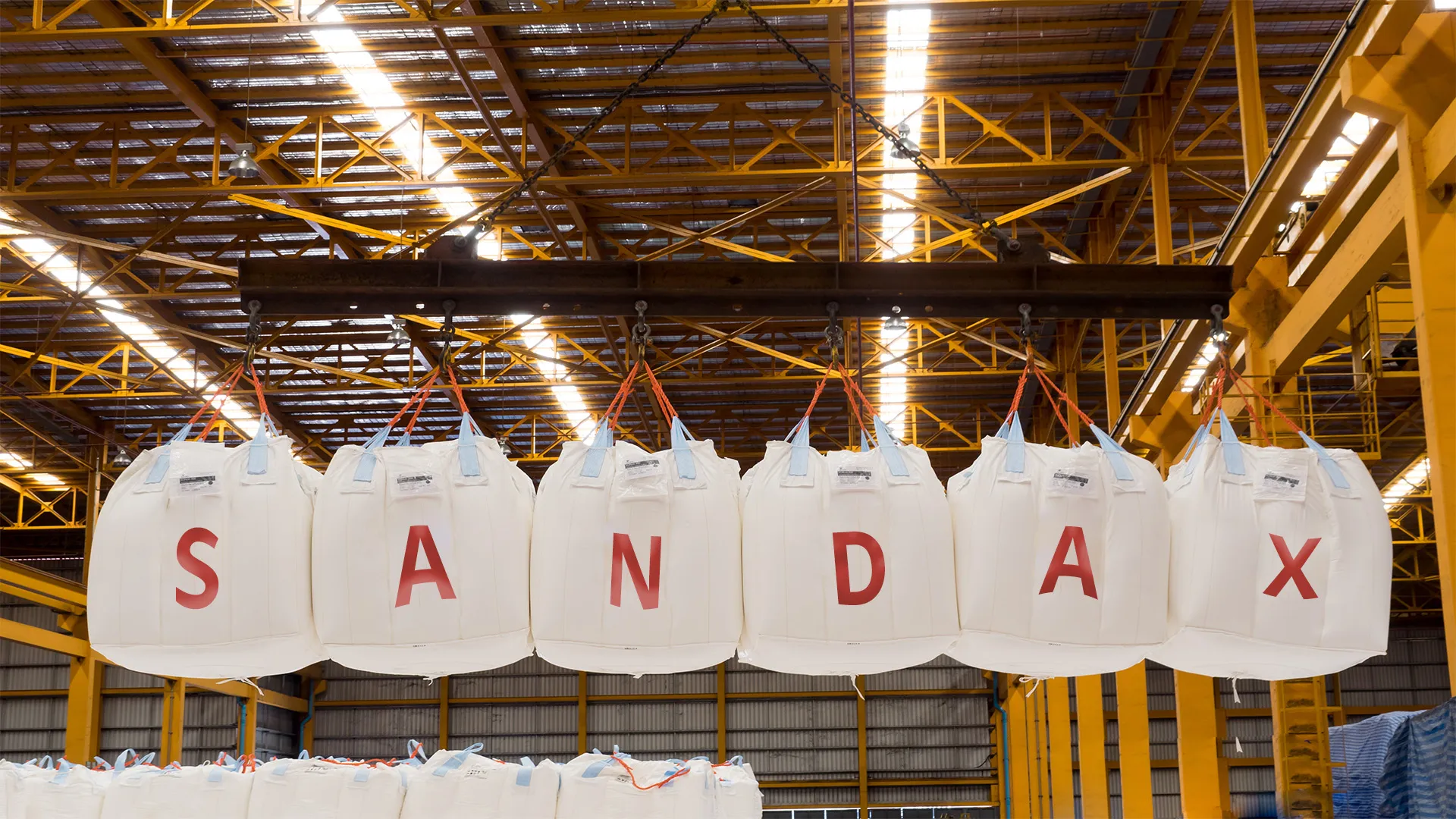 Big Bags Banner